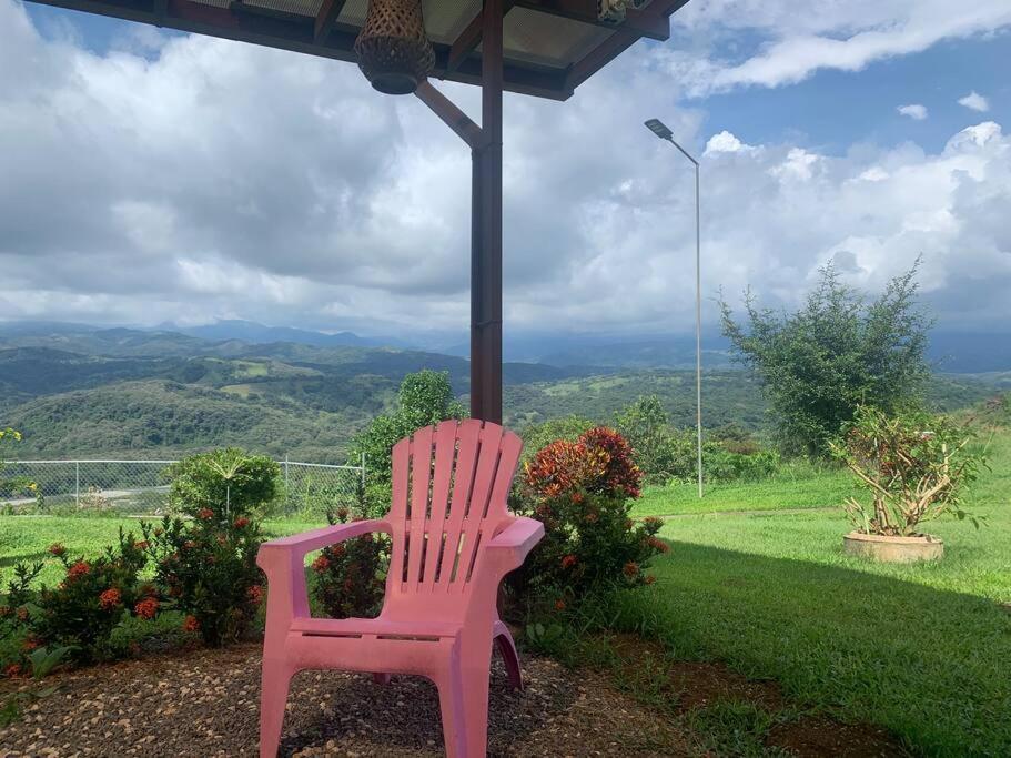 Disfruta Del Contacto Con La Naturaleza Apartment Puntarenas Exterior photo